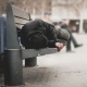Homeless