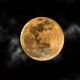 Harvest Moon