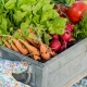 Organic Vegetables
