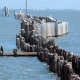 Rising Sea Level