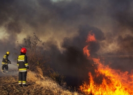 Wildfires