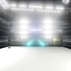 WWE Ring