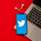 iPhone with Twitter Logo