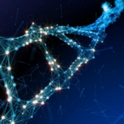 Human Genome