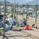 Refugee