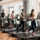 People on Treadmill