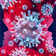 Coronavirus Disease