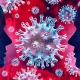 Coronavirus Disease