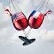US & France Wine Tax