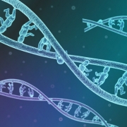 DNA Babies 3D