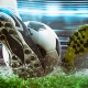 Soccer Clears & Ball Close Up