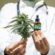 Cannabis and Oil