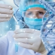 Scientists Study DNA