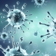 Coronavirus Virus