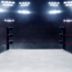 Wrestling Ring