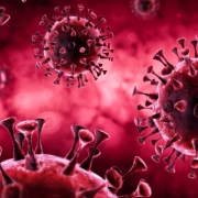 Corona Virus 3D