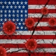 America Coronavirus