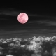 Pink Moon