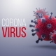 Coronavirus Fight