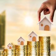Investor in Real Estate