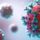 Covid Virus