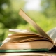 Open Book