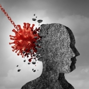 Pandemic Brain Damage