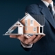 Real Estate Agent