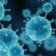 Covid Virus