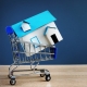 Buying Real Estate