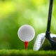 Golf Ball and Club
