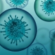 Covid Virus