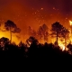 Wildfires