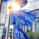 European Union Flags