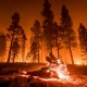 California Wildfires