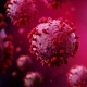 Covid Outbreak Virus