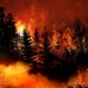 California Wildfire