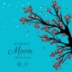 Harvest Moon Festival