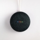 Nest Home Speaker