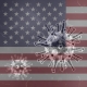 United States Covid Cases