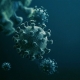 Long Covid Virus