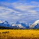 Montana
