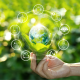 Renewable Energy