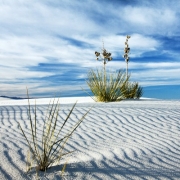White Sands National Monument