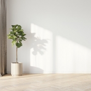 White Wall in Home