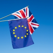 Brexit Flags