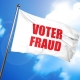 Voter Fraud Flag