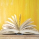 Open Book