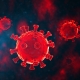 COVID Virus Causes Deaths