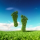 Carbon Footprint